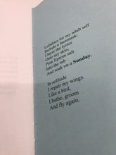 Load image into Gallery viewer, in transit